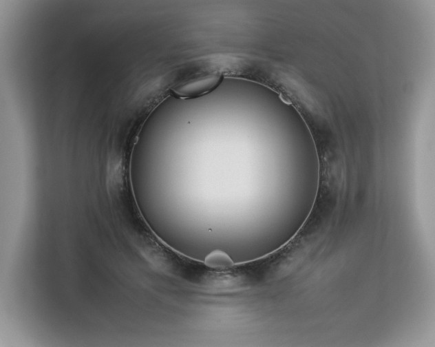 X0000113070597200908281156