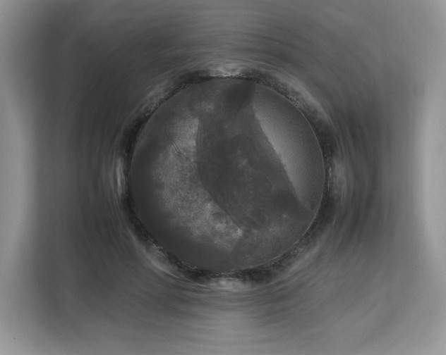 X0000113070598200908281156
