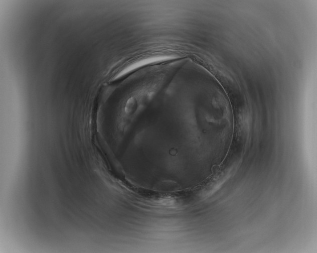 X0000113070600200908281156