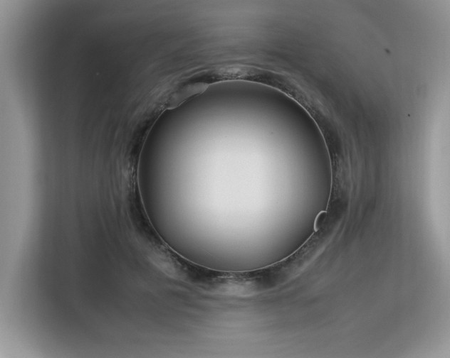 X0000113070601200908281156