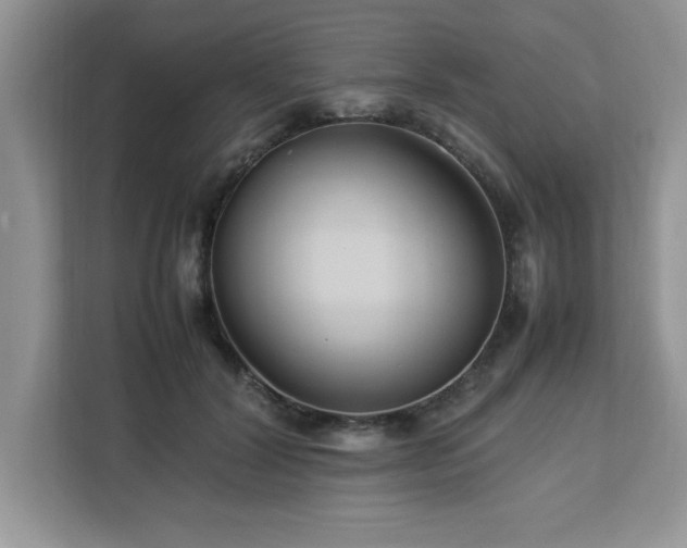X0000113070604200908281156
