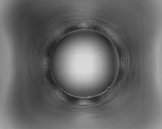 X0000113070605200908281156