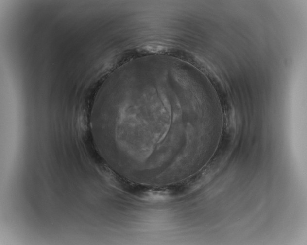 X0000113070606200908281156
