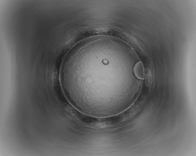 X0000113070608200908281156
