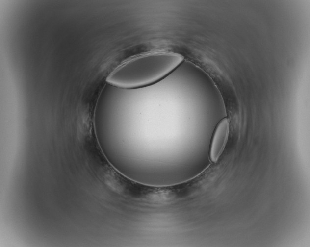 X0000113070609200908281156