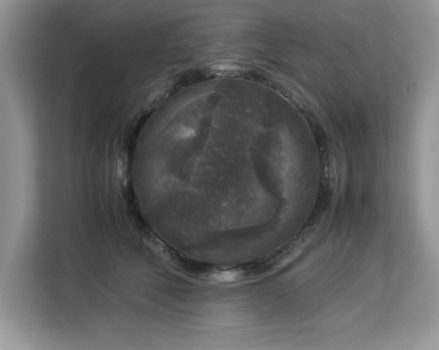 X0000113070610200908281155