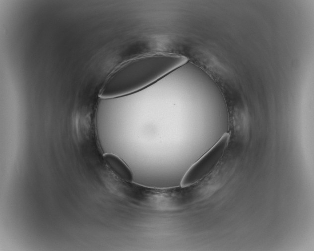 X0000113070611200908281155