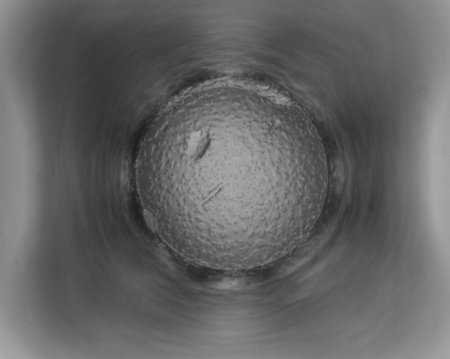 X0000113070612200908281155