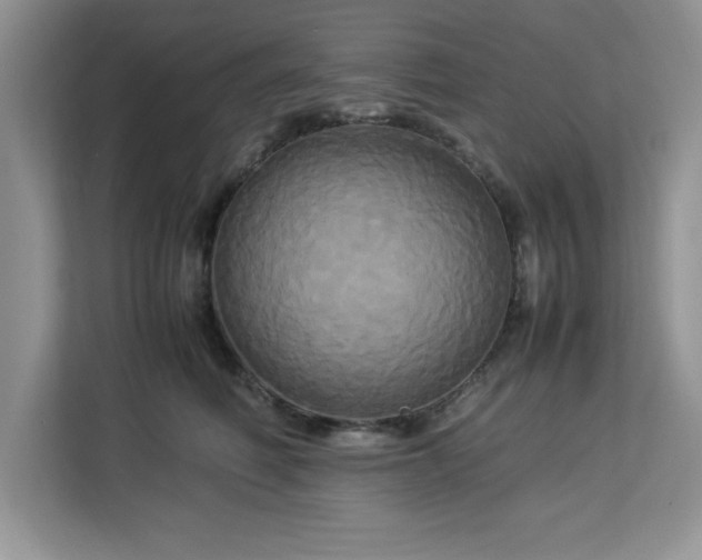 X0000113070614200908281155