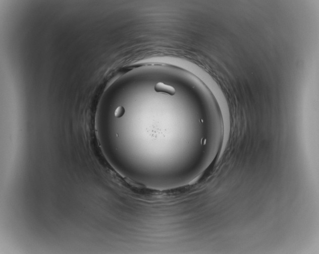 X0000113070616200908281155