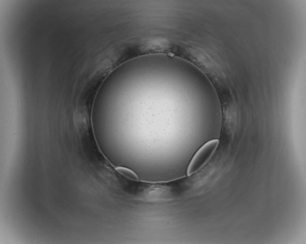 X0000113070617200908281155