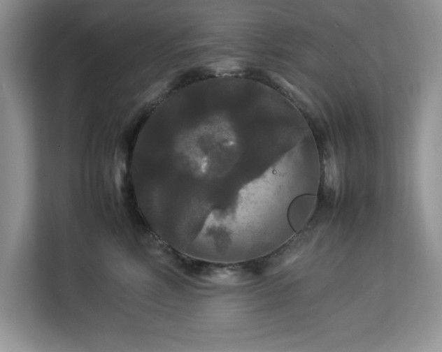 X0000113070618200908281155