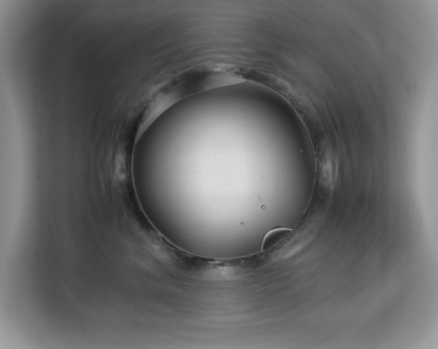 X0000113070620200908281155