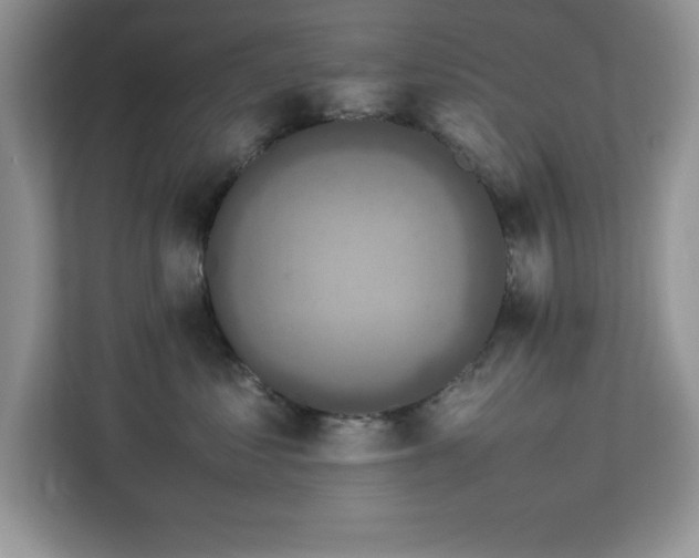 X0000113070621200908281155