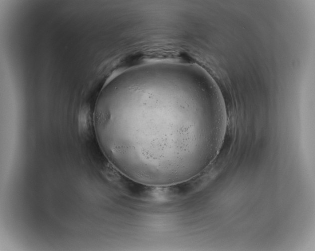 X0000113070623200908281155