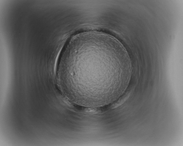 X0000113070624200908281155