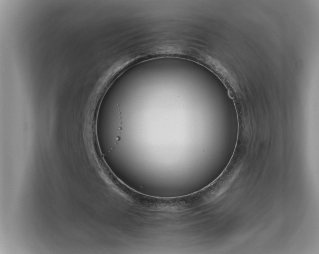 X0000113070625200908281155