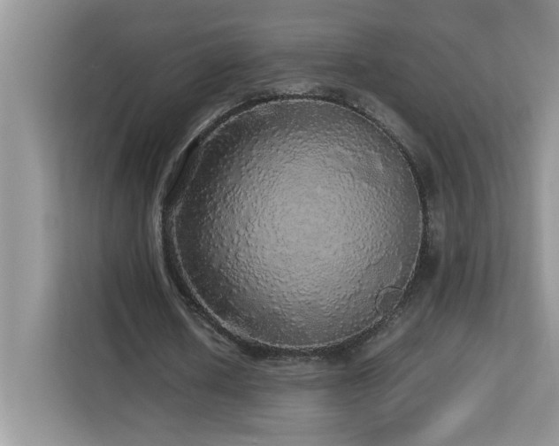 X0000113070626200908281155