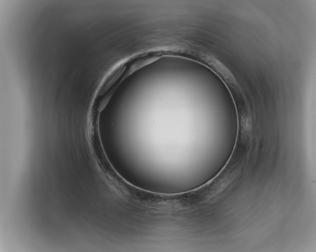X0000113070628200908281155