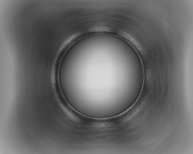 X0000113070629200908281155
