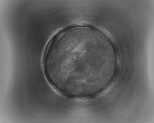 X0000113070630200908281155