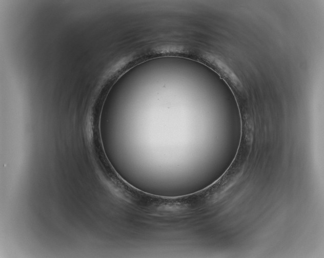 X0000113070631200908281155