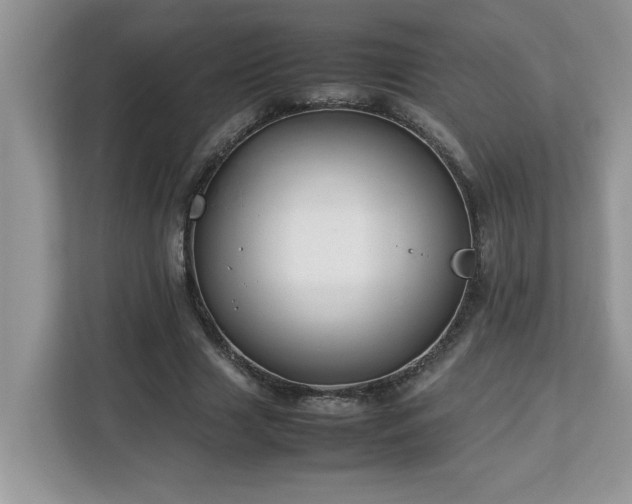 X0000113070633200908281155