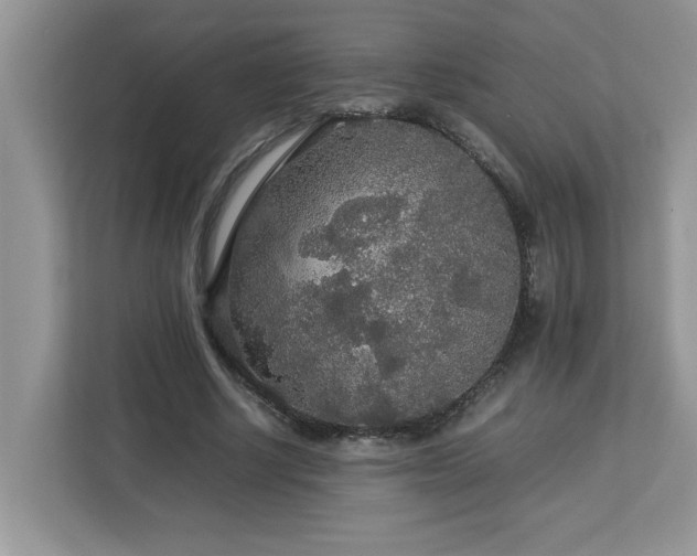 X0000113070634200908281155