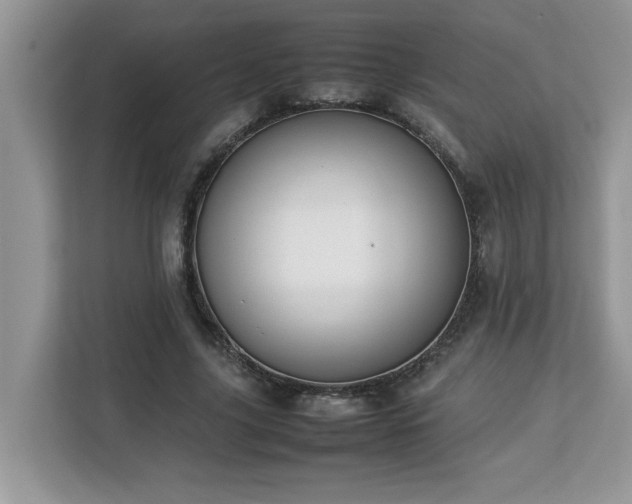 X0000113070635200908281155