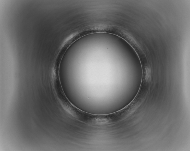 X0000113070636200908281155