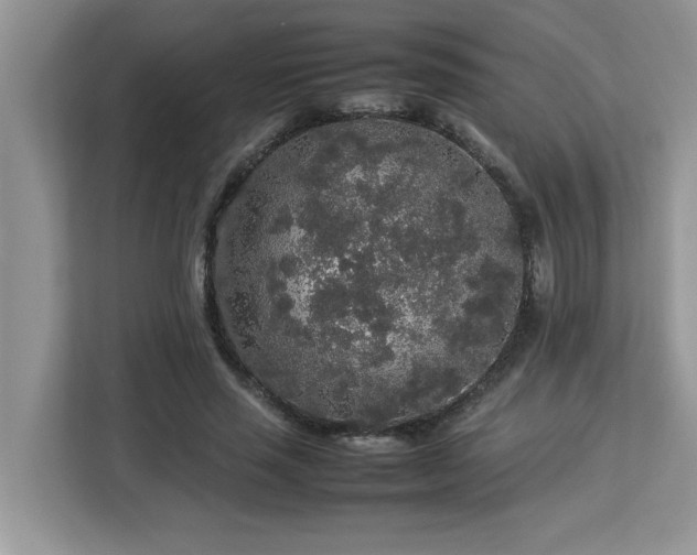 X0000113070637200908281155