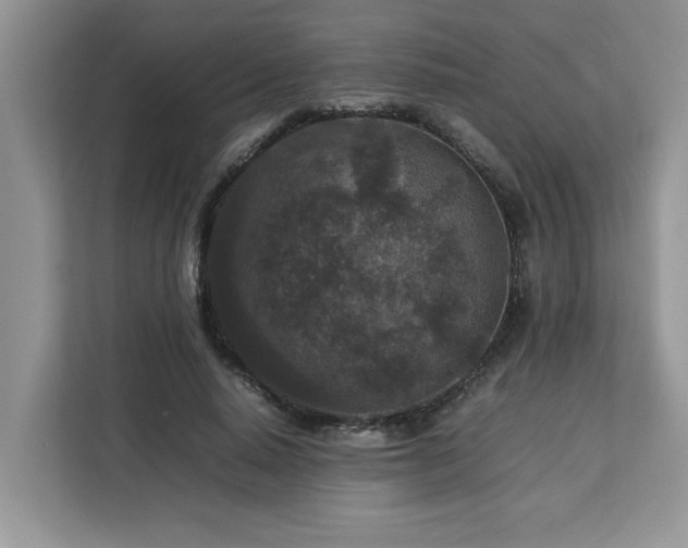 X0000113070640200908281155