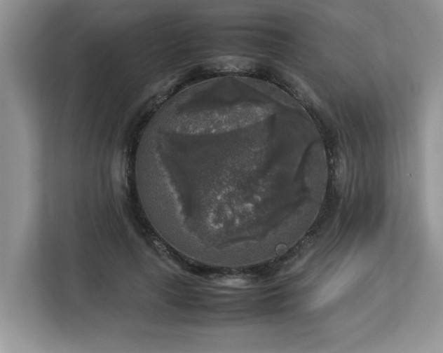 X0000113070643200908281155