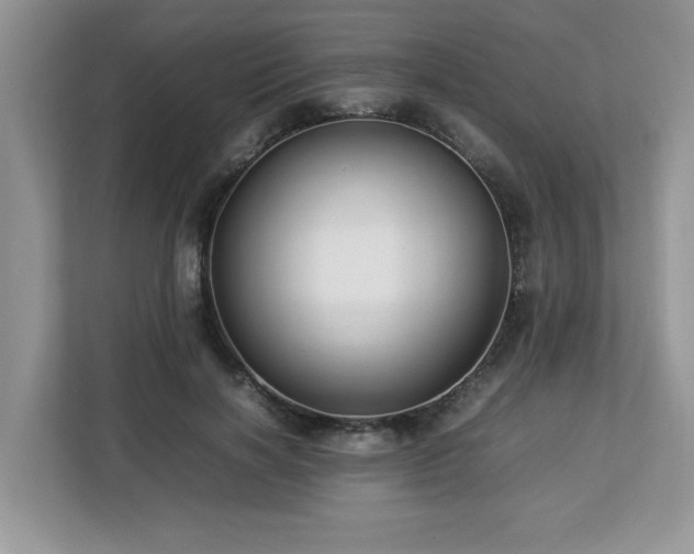 X0000113070646200908281155