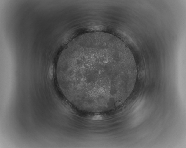 X0000113070647200908281155