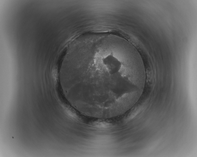 X0000113070648200908281155