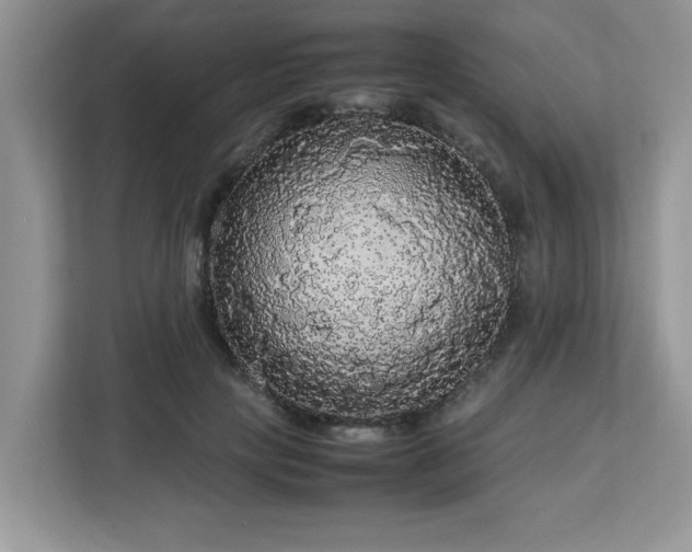X0000113070649200908281155