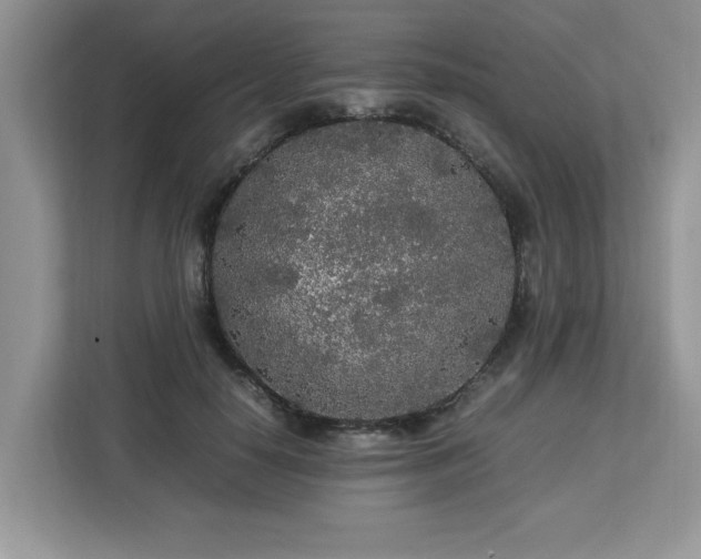 X0000113070650200908281155
