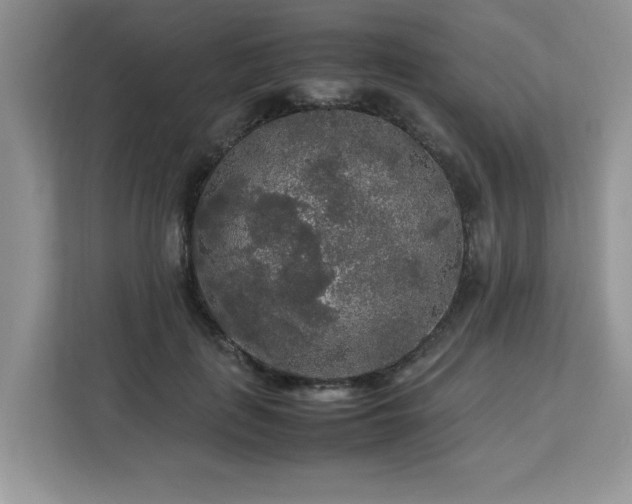 X0000113070651200908281155
