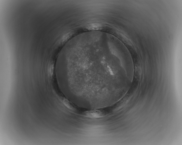 X0000113070652200908281155