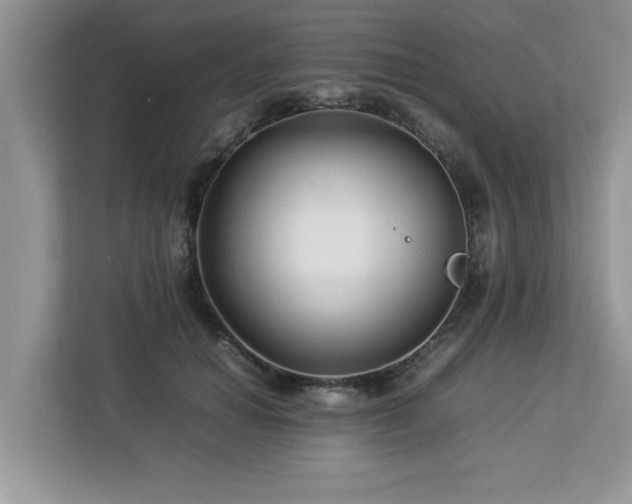 X0000113070654200908281155