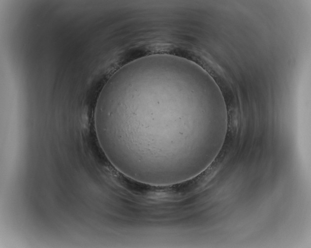 X0000113070655200908281155