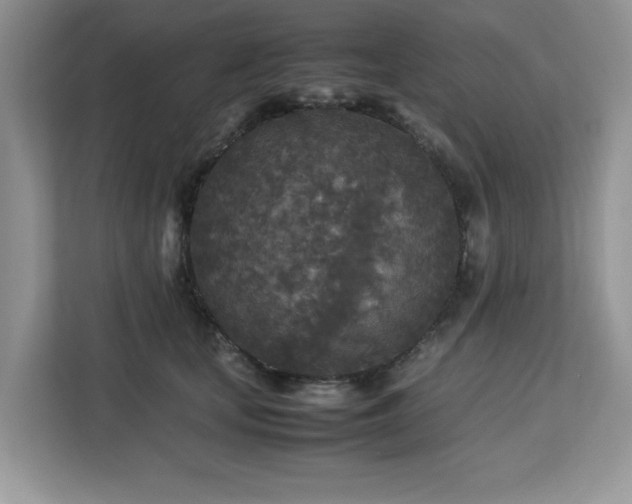 X0000113070659200908281155