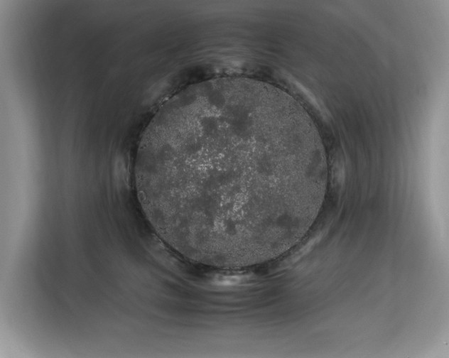X0000113070661200908281155