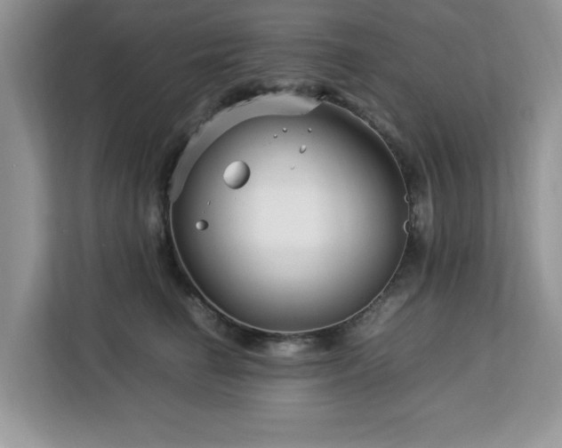 X0000113070662200908281155