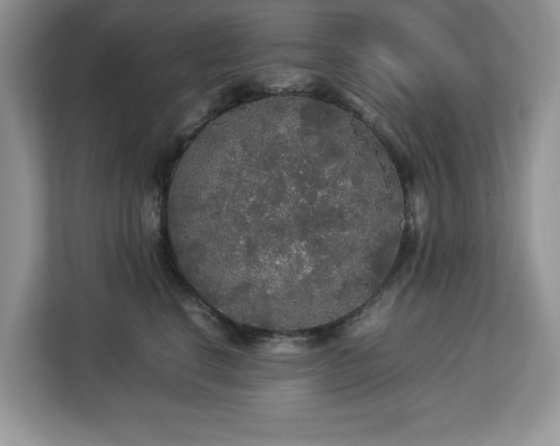 X0000113070664200908281155