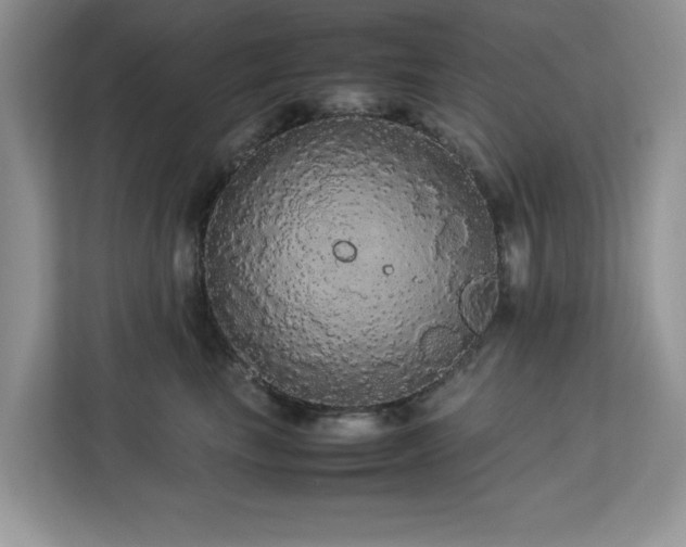 X0000113070665200908281155