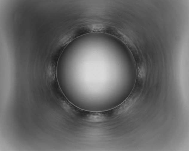 X0000113070666200908281155