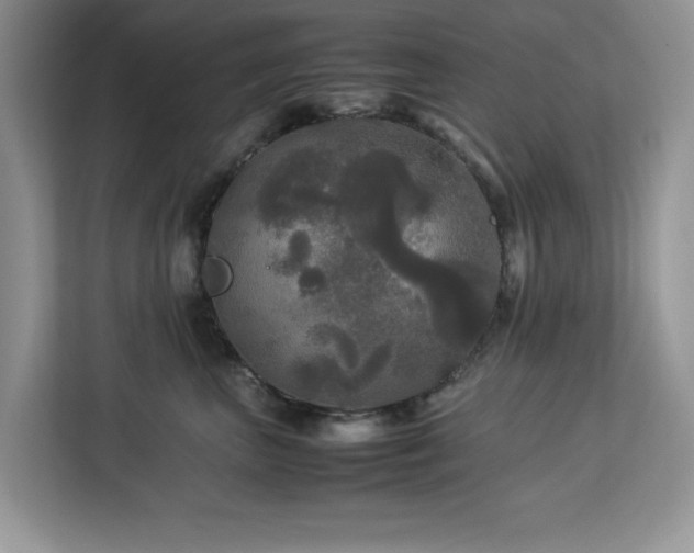 X0000113070667200908281155