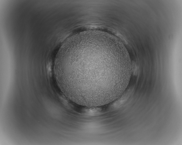 X0000113070670200908281155